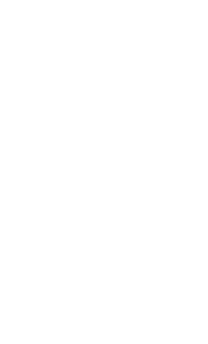 PIXELCROWN Studio Logo